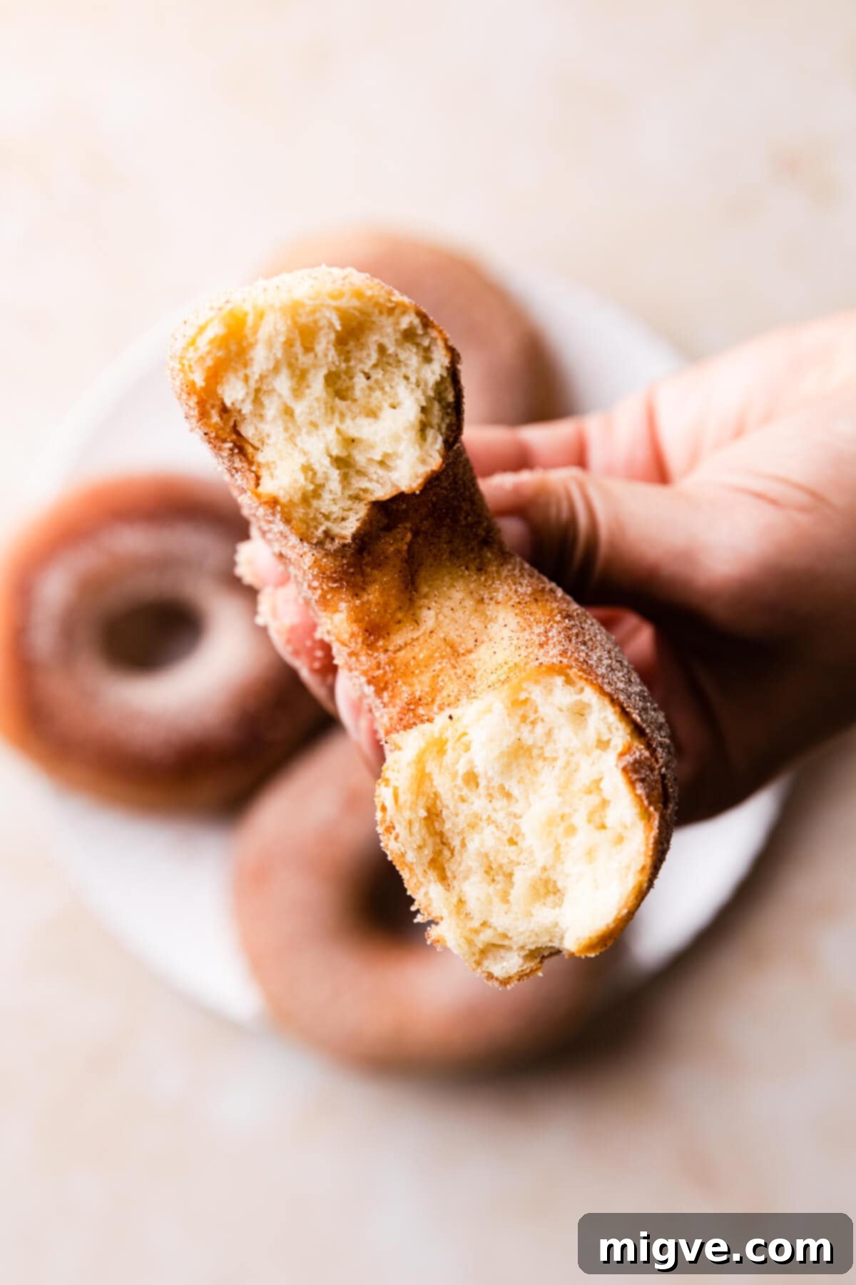 A perfectly air-fried doughnut, still warm, with a bite taken out, showcasing its fluffy interior and cinnamon sugar coating. A hand is visible holding the doughnut in the background.