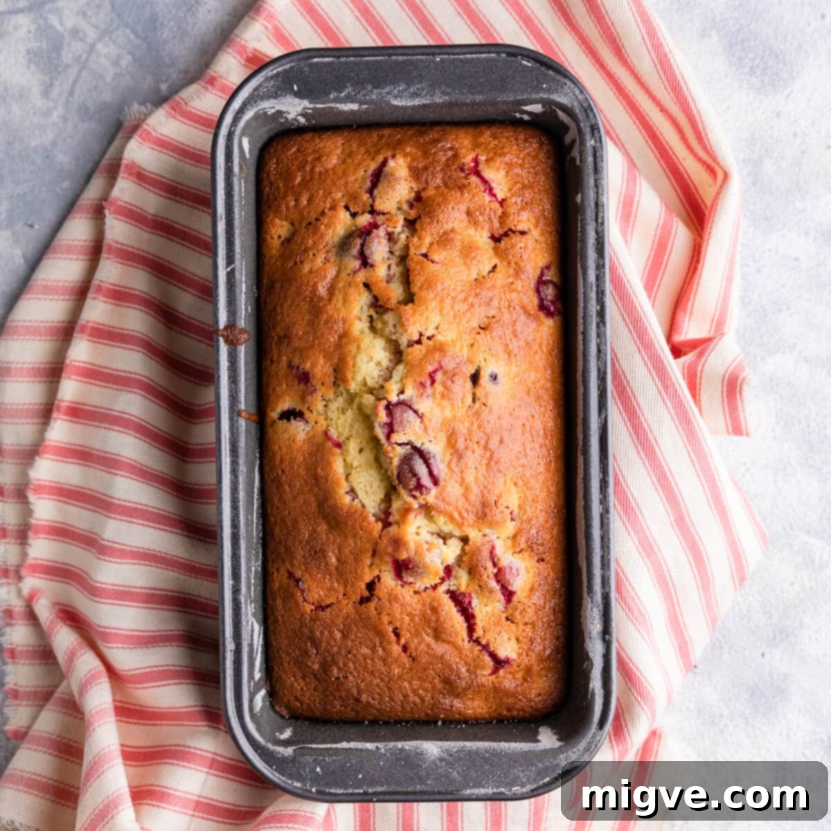 freshly baked orange and cranberry loaf in a baking tin.