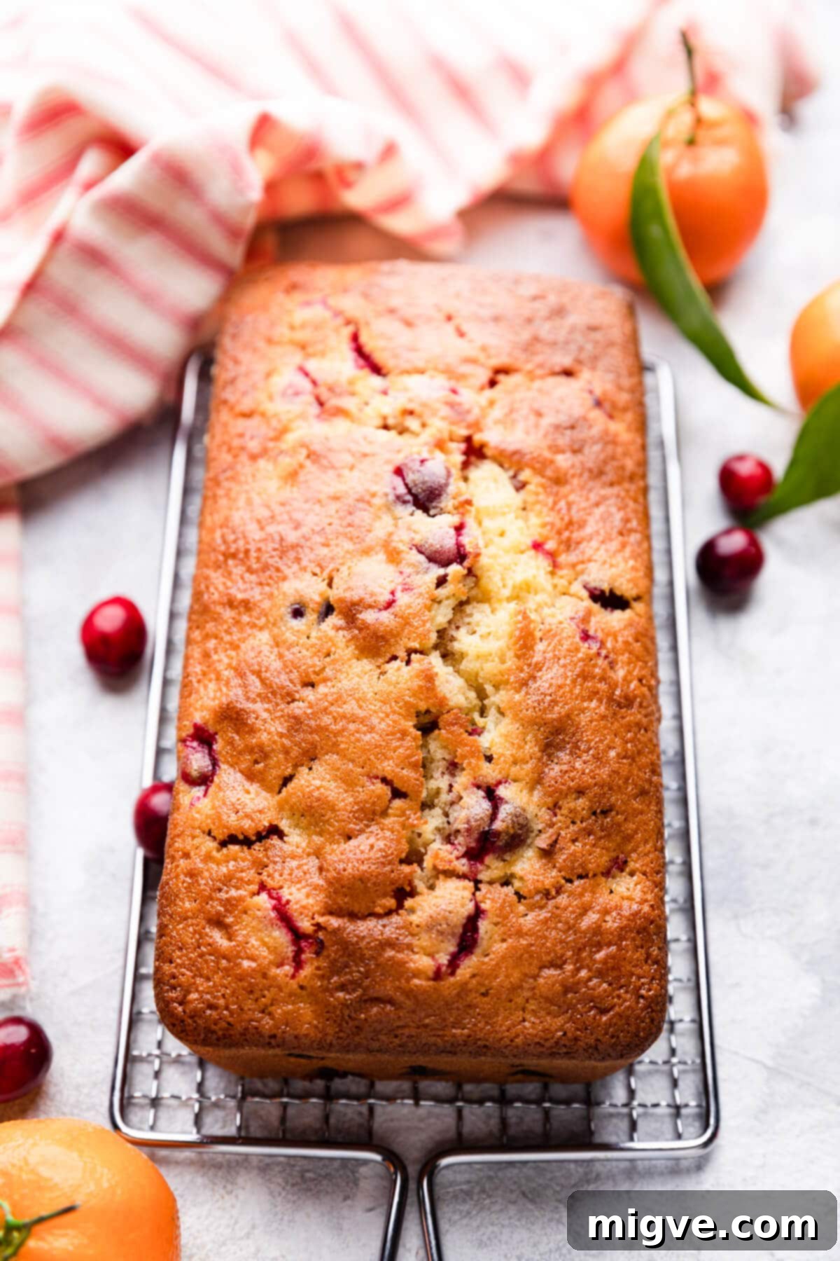 unglazed orange cranberry bread on a wire rack.