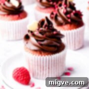 Decadent Raspberry Chocolate Cupcakes 12 chocolate raspberry cupcake topped with dried raspberries and chocolate heart.