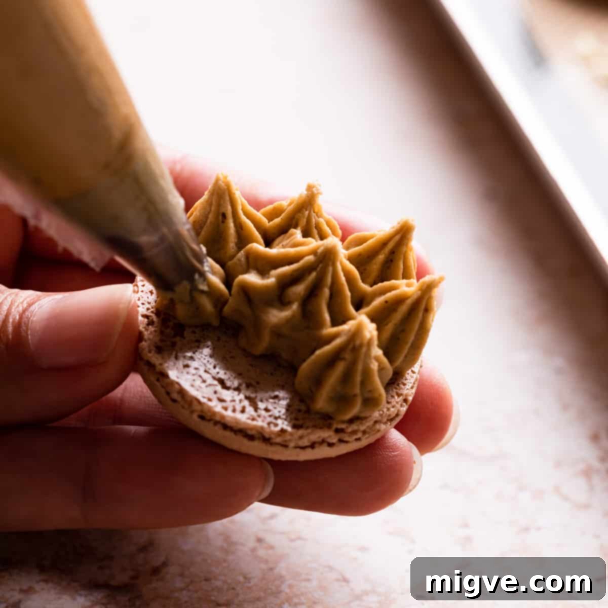 Ginger spice buttercream being expertly piped onto an inverted macaron shell.