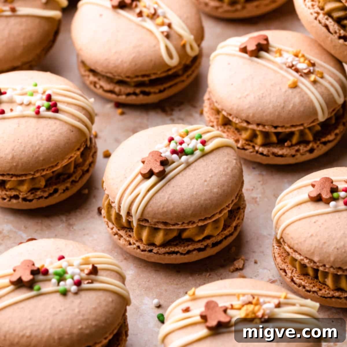 Assembled gingerbread macarons maturing in an airtight container.