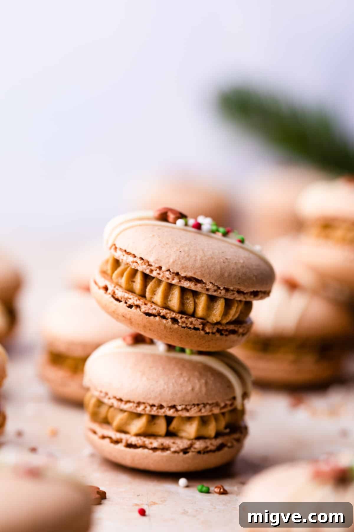 A stack of two beautifully assembled gingerbread macarons with visible buttercream filling.