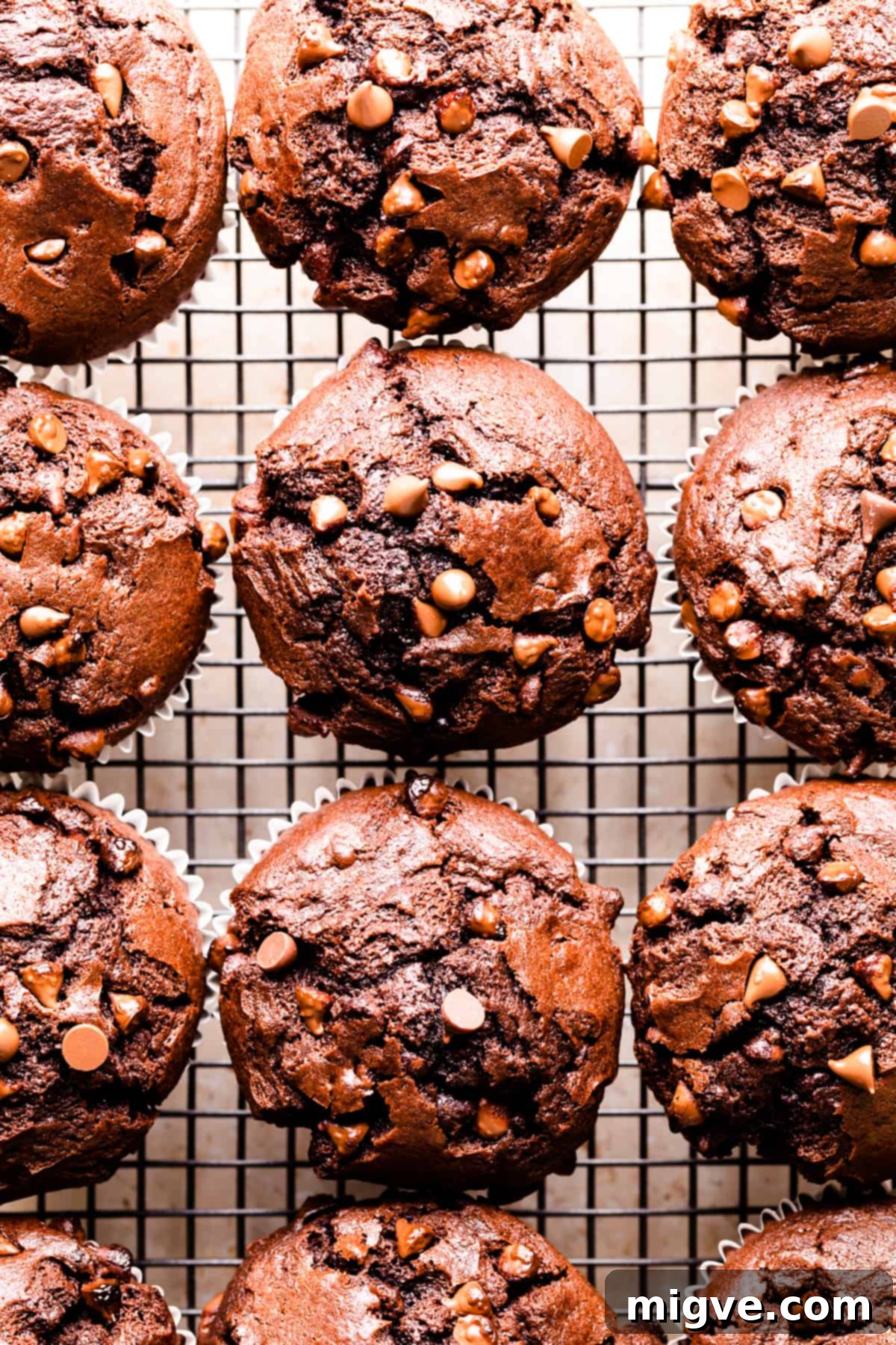Irresistible double chocolate muffins topped with extra chocolate chips, resting on a wire rack to cool.