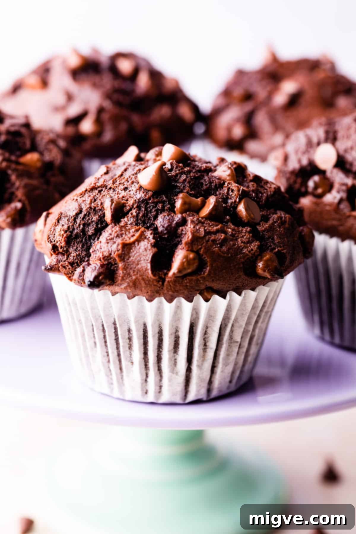 A single, perfectly baked chocolate chip muffin nestled in a white paper case, displayed elegantly on a lilac cake stand.