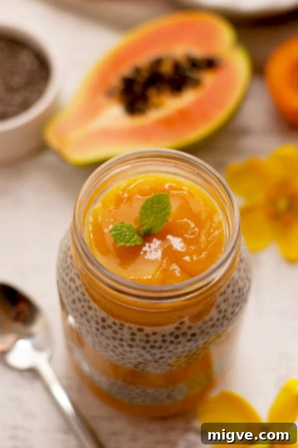Healthy and delicious Mango Papaya Chia Pudding layers, perfect for a quick breakfast.