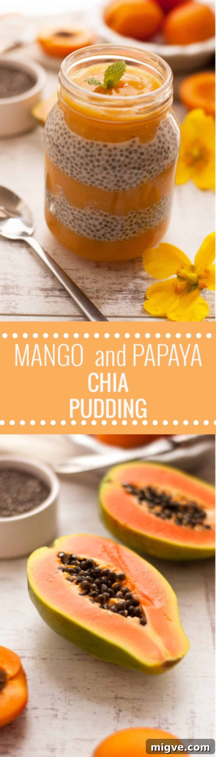 Delicious Mango, Papaya and Apricot Chia Pudding infused with Ginger. Healthy and super nutritious breakfast packed with exotic flavors!
