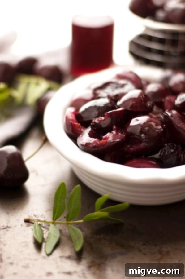 Rich Vegan Cherry Chocolate Bundt Cake with a luscious cherry syrup and chocolate glaze, perfect for a dairy-free birthday celebration. Easy to bake at home. | annabanana.co