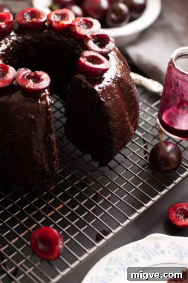 Perfect for any celebration, this Vegan Cherry Chocolate Bundt Cake is deep in flavor and surprisingly simple to prepare. A rich, moist, and delicious dairy-free dessert that everyone will adore. | annabanana.co