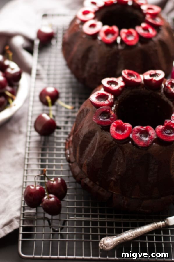 Indulge in this exquisite Vegan Cherry Chocolate Bundt Cake – a moist, flavorful chocolate cake elevated by a sweet cherry syrup and a glossy chocolate glaze. Perfect for a special treat or a simple dessert. | annabanana.co