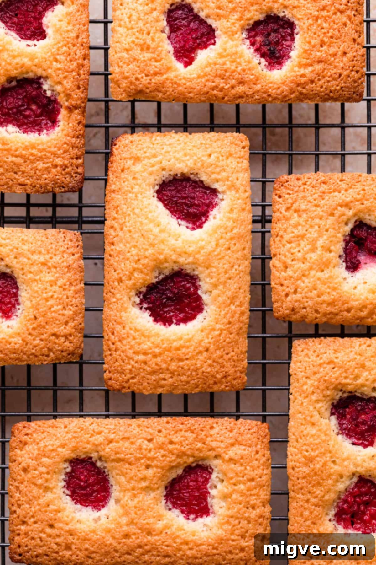 Raspberry Rose Financiers. Super light, soft and delicious cakes topped with juicy raspberries soaked in rose wine. So delicious! | http://annabanana.co/