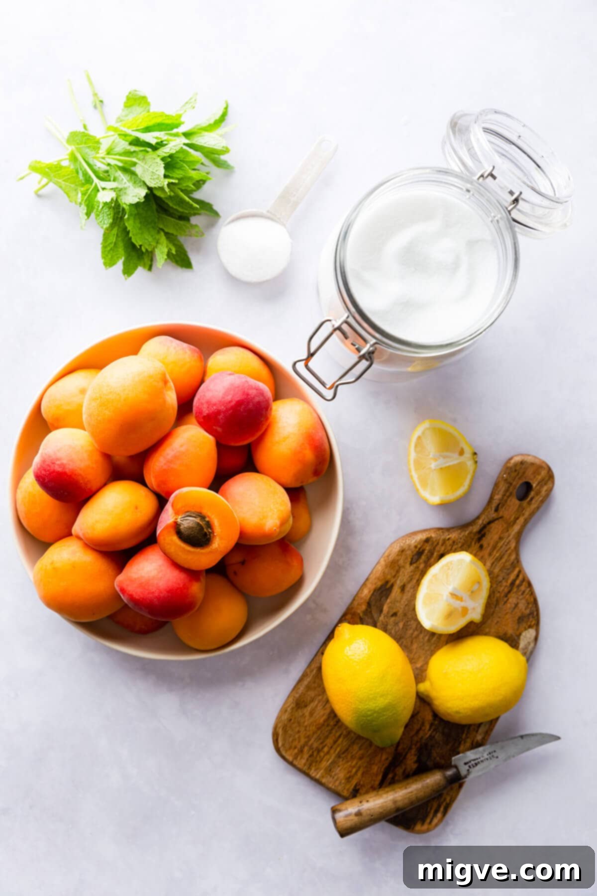 overhead view of ingredients for homemade apricot nectar