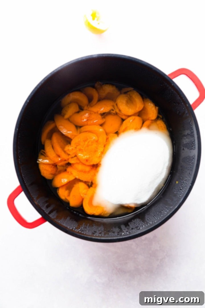 top view of a large pan filled with cooked apricots and sugar