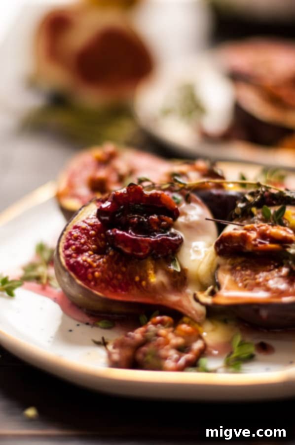 Artfully arranged baked figs, drizzled with agave, and garnished with fresh thyme. An inviting autumnal starter. | via@ annabanana.co