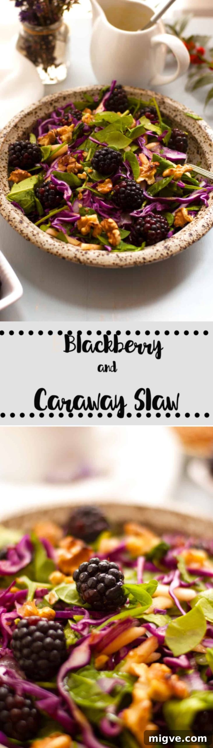 Blackberry and caraway slaw! Perfect seasonal salad recipe with red cabbage, blackberries and caraway seeds, served with mustard dressing. Great combination of flavors and really easy to prepare via@ annabanana.co