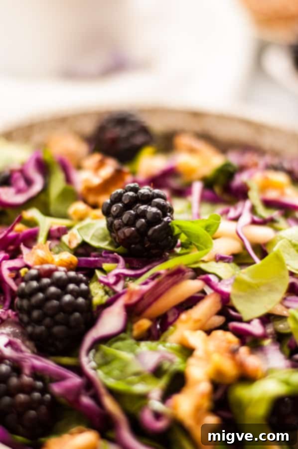 Blackberry and caraway slaw! Perfect seasonal salad recipe with red cabbage, blackberries and caraway seeds, served with mustard dressing. Great combination of flavors and really easy to prepare via@ annabanana.co