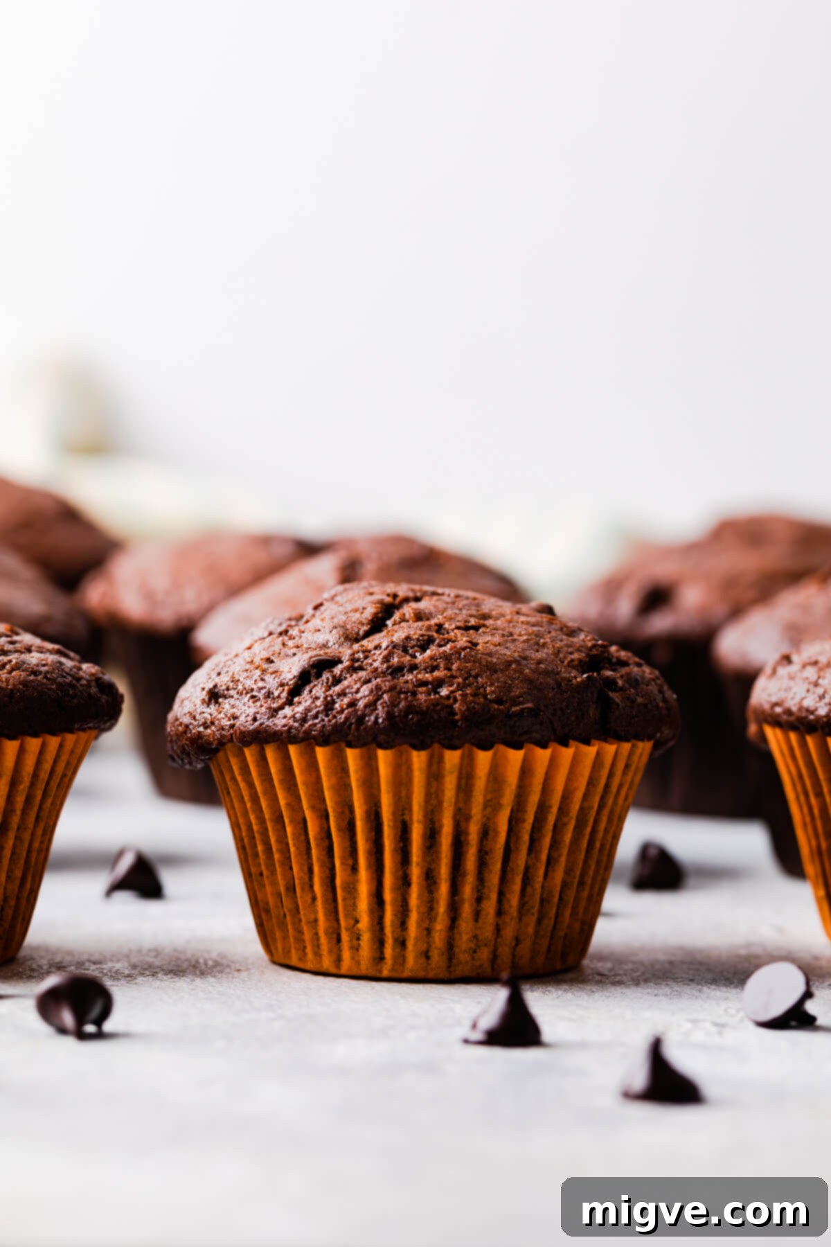 A single plain chocolate fudge muffin, unadorned, nestled in a vibrant orange paper case, surrounded by scattered chocolate chips.