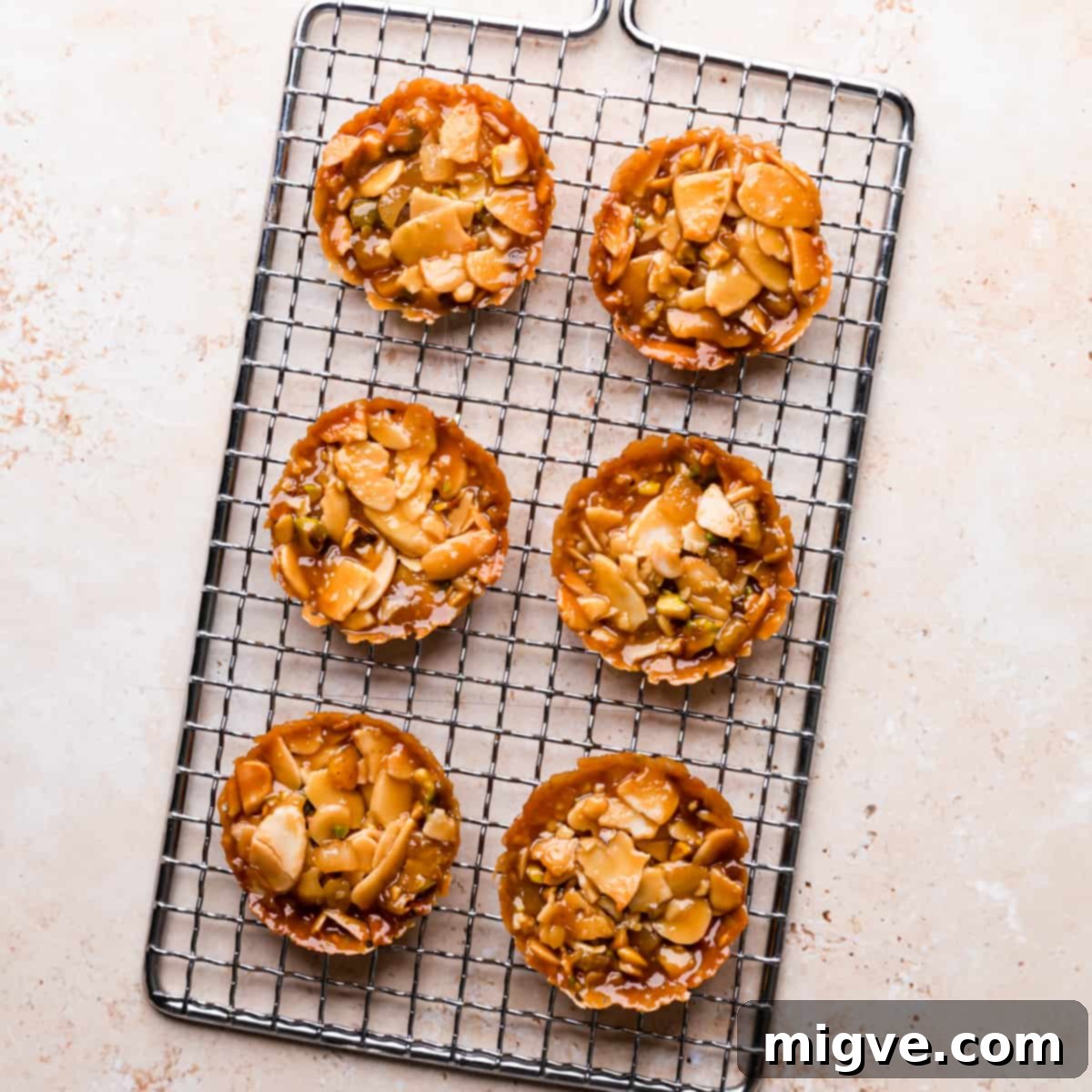 Florentine Almond Lace 15 Six small almond florentines, perfectly shaped from silicone cases, resting on a compact rectangular wire rack to cool.
