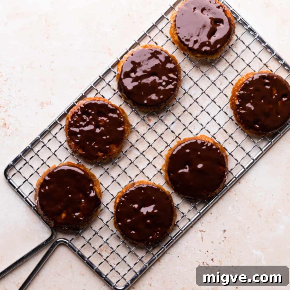 Florentine Almond Lace 16 Seven small almond florentines, each elegantly dipped in dark chocolate and arranged on a metal cooling rack for the chocolate to set.