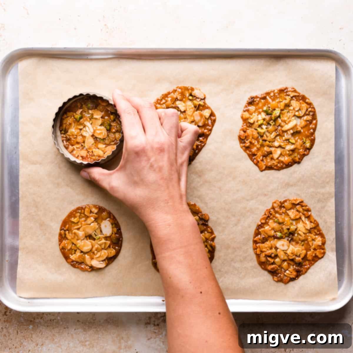 Florentine Almond Lace 9 Freshly baked florentines with almonds and pistachios being pressed into neat rounds using a cookie cutter while still warm.