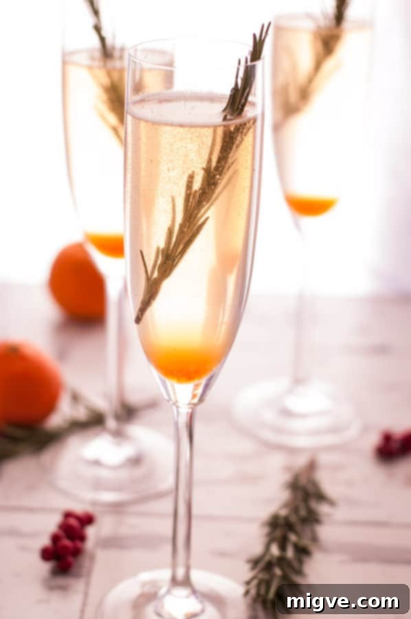 Midnight Breeze Elixir 2 New Year's Breeze Cocktail: A refreshing drink with Champagne or Prosecco, ideal for all toasts in the New Year. Features clementine and cranberry cordial, garnished with rosemary and frozen blackberries.