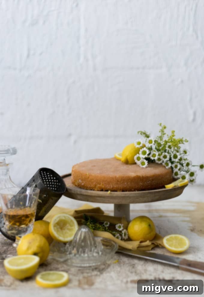 Lemon drizzle cake, beautifully styled and photographed, a result of still life photography workshops