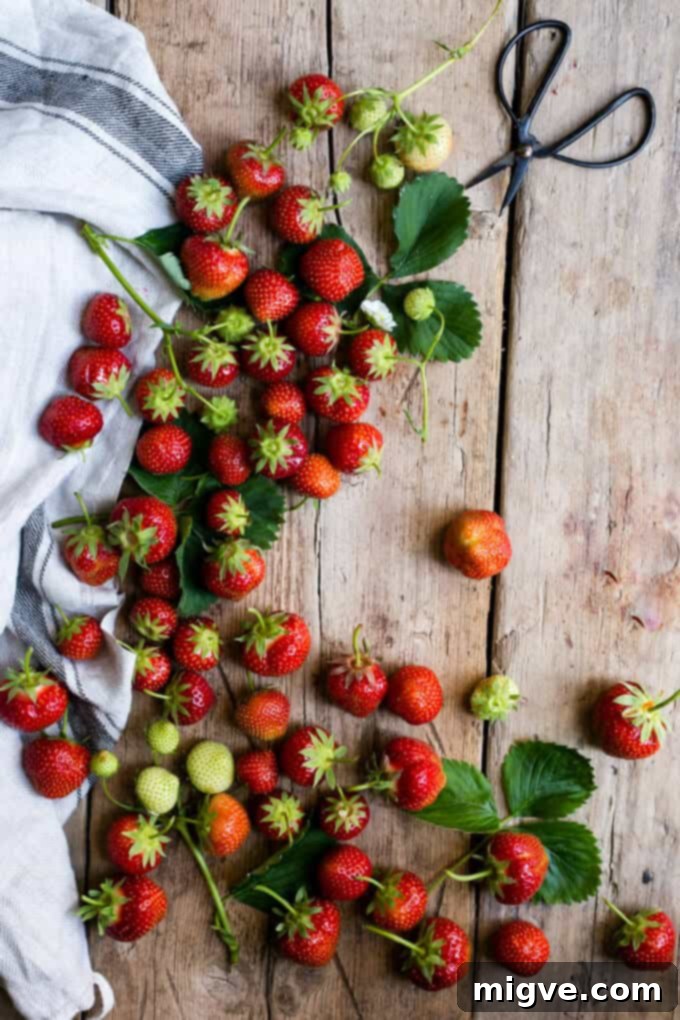 Summer Strawberry Delight 4 Fresh, juicy summer strawberries, perfect for baking a delicious fruit cake
