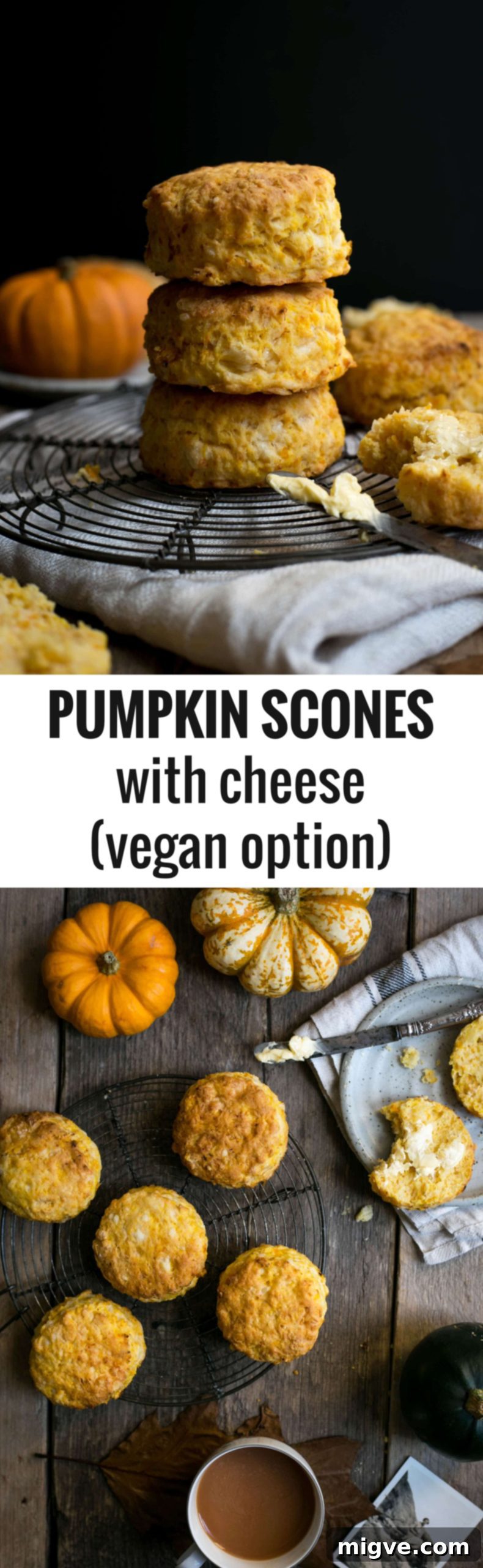 Easy and delicious pumpkin scones with cheese! A delightful vegan option is also available for this autumn recipe. | via @annabanana.co