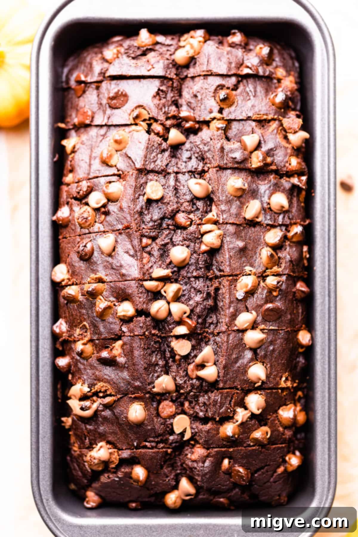 Warm chocolate pumpkin bread still in its baking tin, showcasing a perfectly risen, golden-brown crust and melted chocolate chips on top.