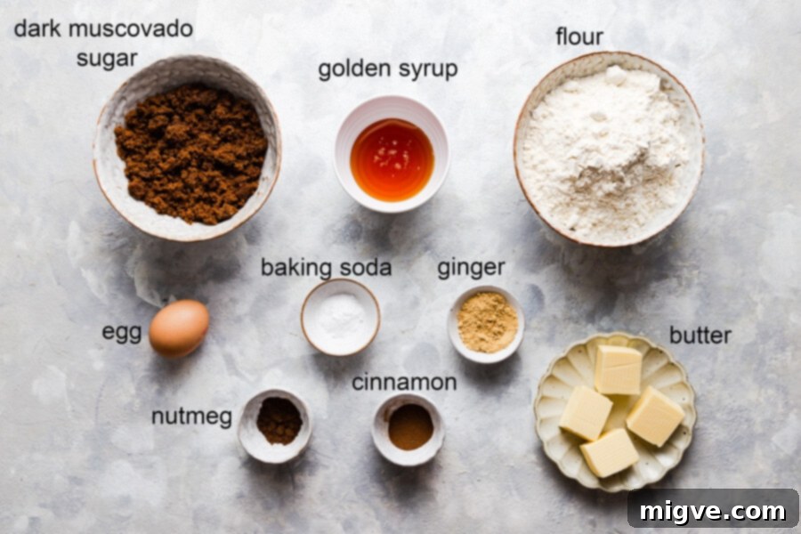 Pillowy Soft Gingerbread Cookies 3 Overhead view displaying all the key ingredients for making soft gingerbread cookies, neatly labeled and arranged on a kitchen surface.